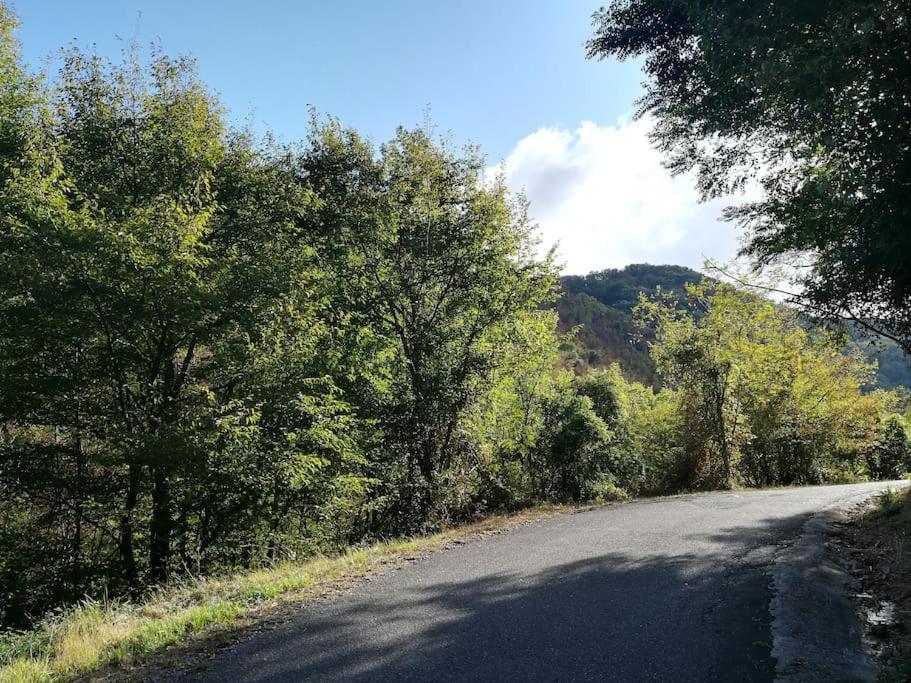 Willa Casa Nel Borgo Antico Quaratica Zewnętrze zdjęcie